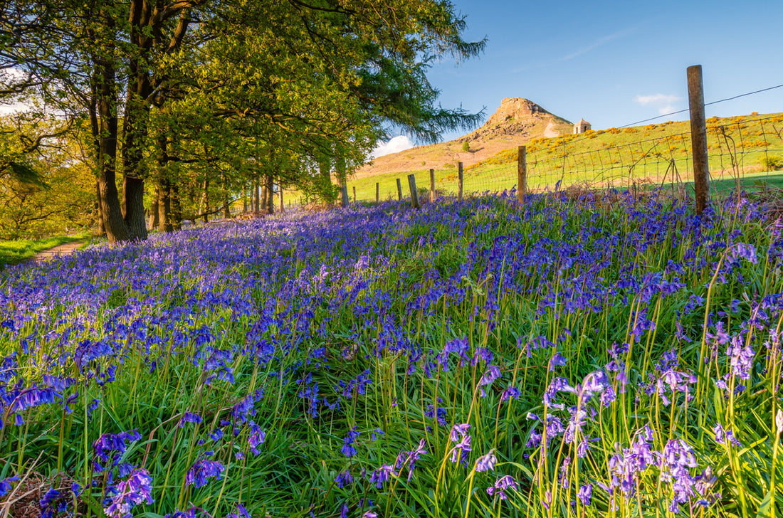 Places To Visit in Yorkshire - A Map of Chuffin’ Everything